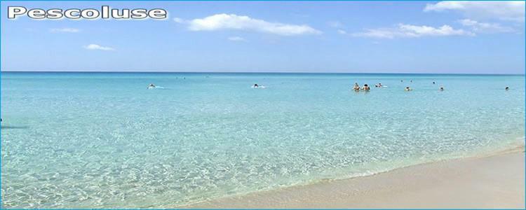 Le Dimore Di Luciana Marina Di Pescoluse Zewnętrze zdjęcie